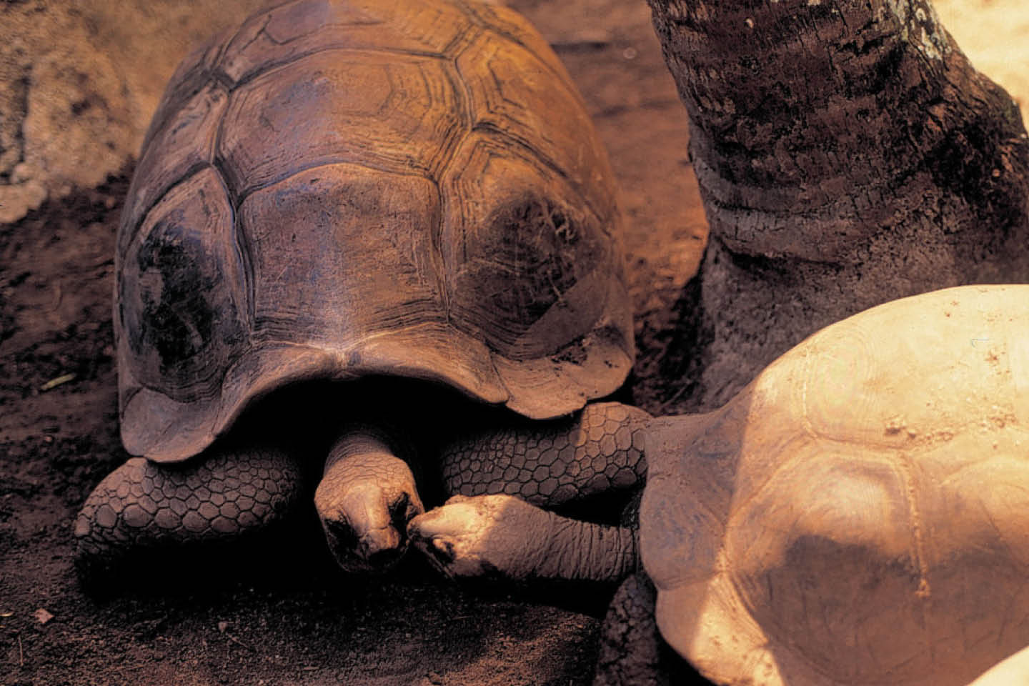 Layout immagini web viaggi2