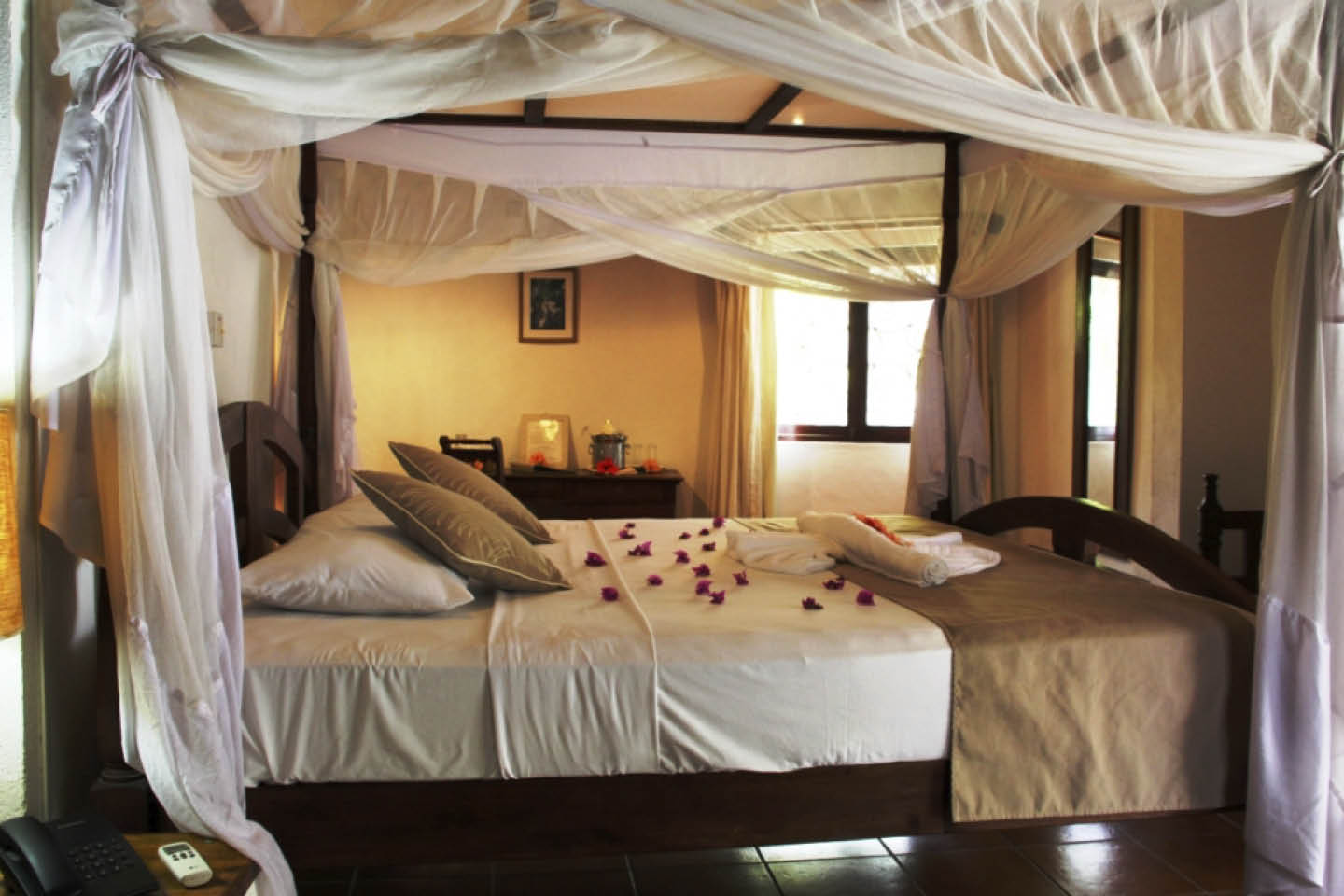 Layout immagini web viaggi3